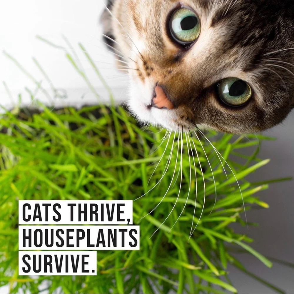 Organic Pet Grass Refill Kit